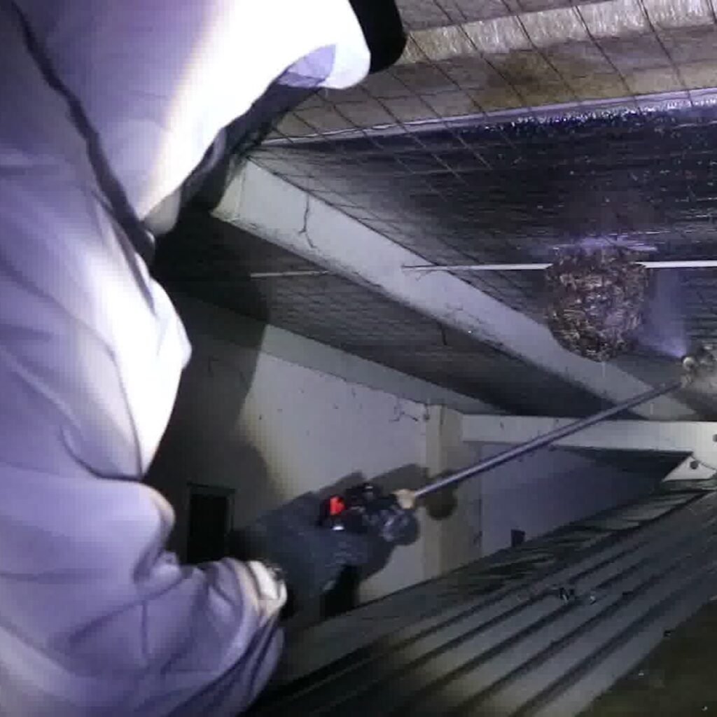 Jasa Pembasmi Tawon Industri