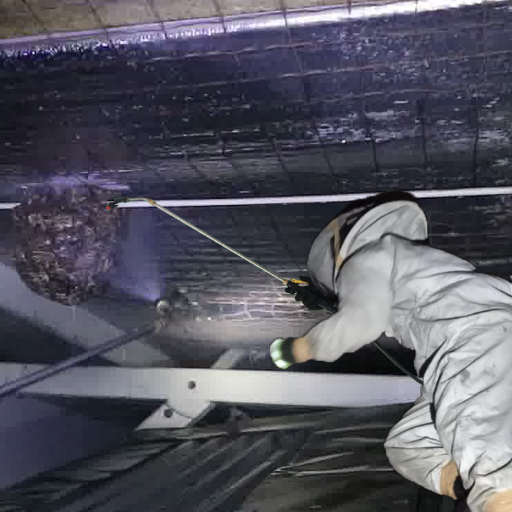 Jasa Pembasmi Tawon Terbaik