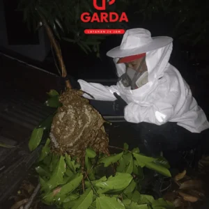 Jasa Semprot Sarang Tawon Di Banyumas Ahli Berpengalaman Cepat