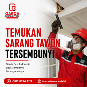 Jasa Pembasmi Tawon Solo 24 Jam