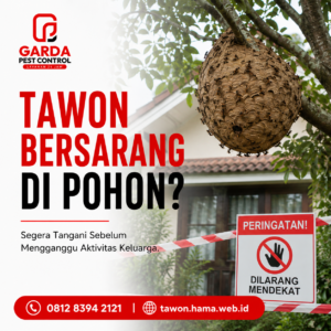 Panggilan Darurat Evakuasi Sarang Tawon Malam Hari Solo